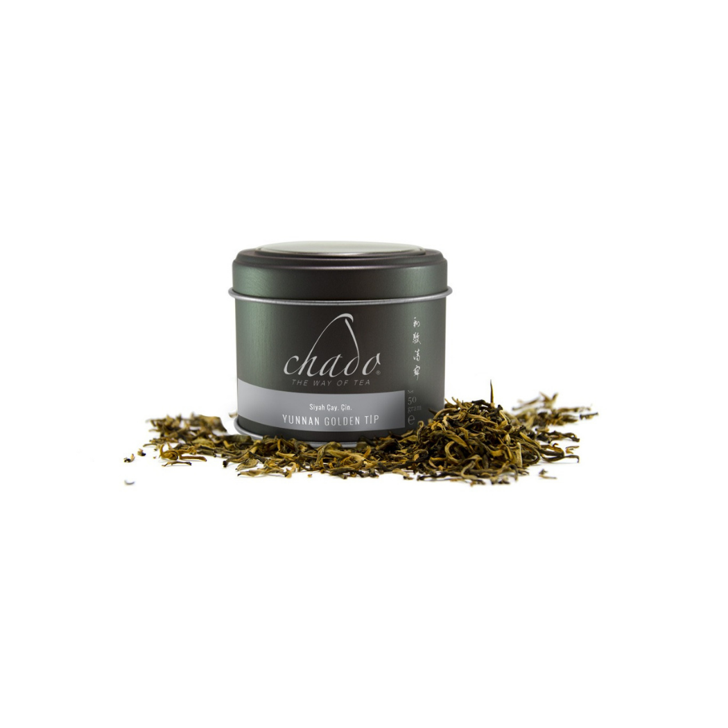 YUNNAN – GOLDEN TİP