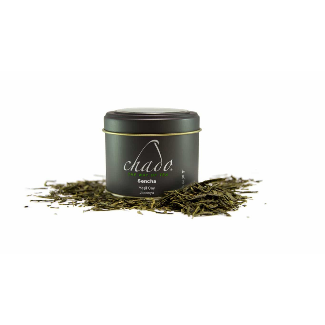 SENCHA