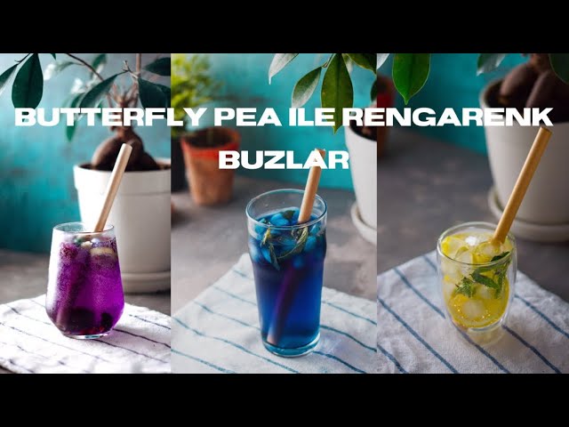 Butterfly Pea (Mavi Çay) ile Yapabileceğiniz Renkli Buz Küpleri | Chado Tea